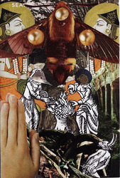 Bird seance_4_tumblr